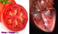 /album/nadherne-kreace-jidla/vegetables-like-human-bodies-2-jpg/